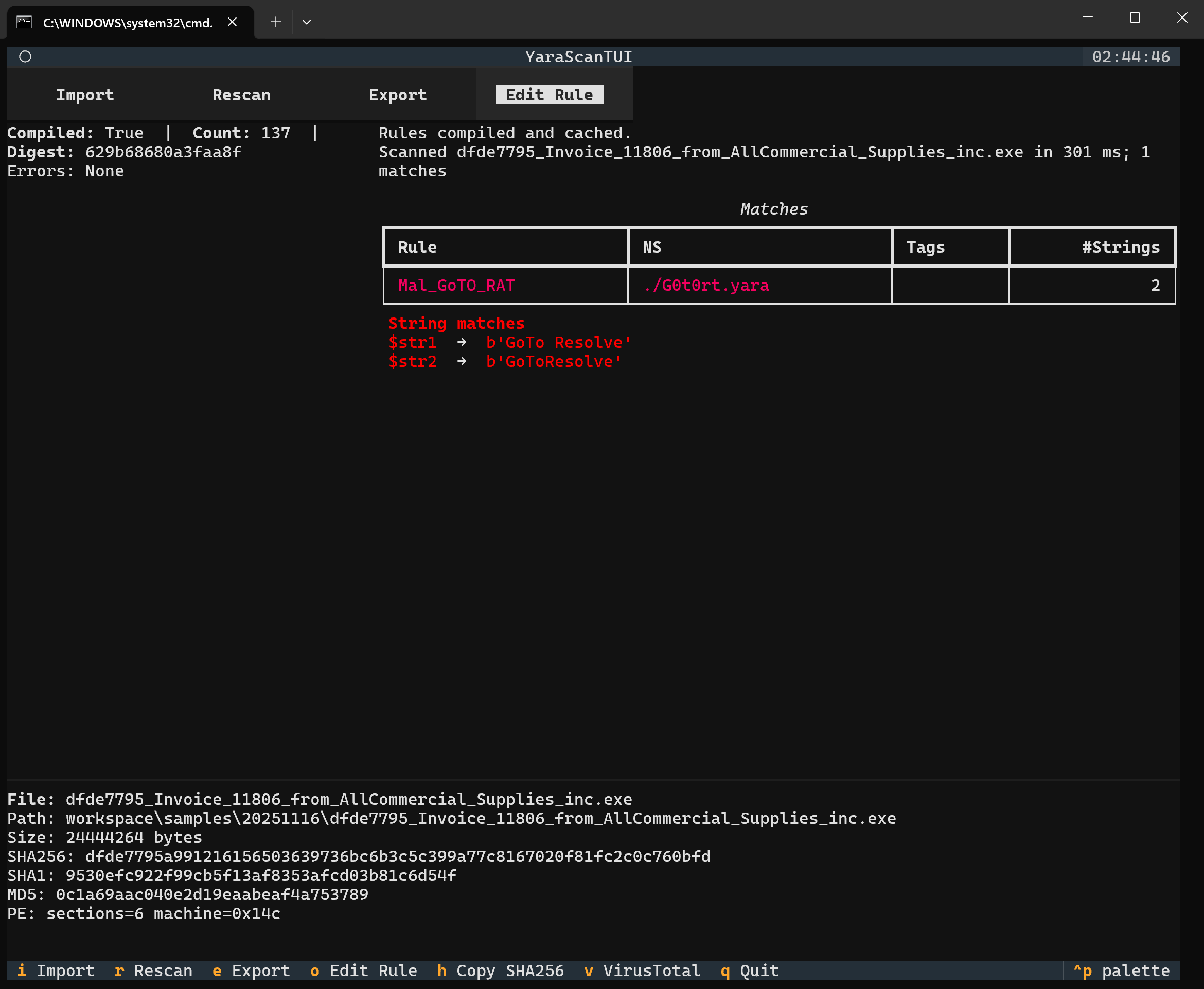 YaraScanTUI scan view with matches